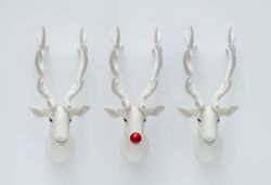 Decorative mounted head of reindeer with red nose