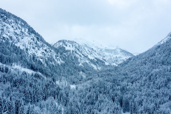 Snow-covered pine forest on a cloudy morning in December, drone image in the Bavarian Alps, Germany
