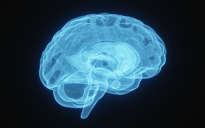 Side of X-ray image of human brain in blue wireframe on isolated on dark background