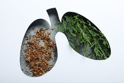 Lung shape cut out of paper revealing lush green plant and tobacco underneath