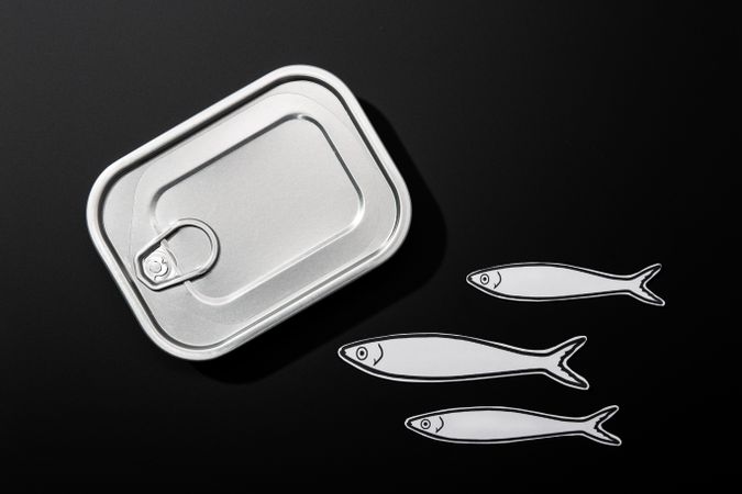 Example of open tin can with drawings of fish inside