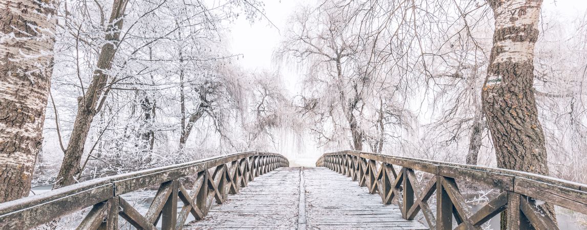 Pedestrian bridge on a winter’s day, wide