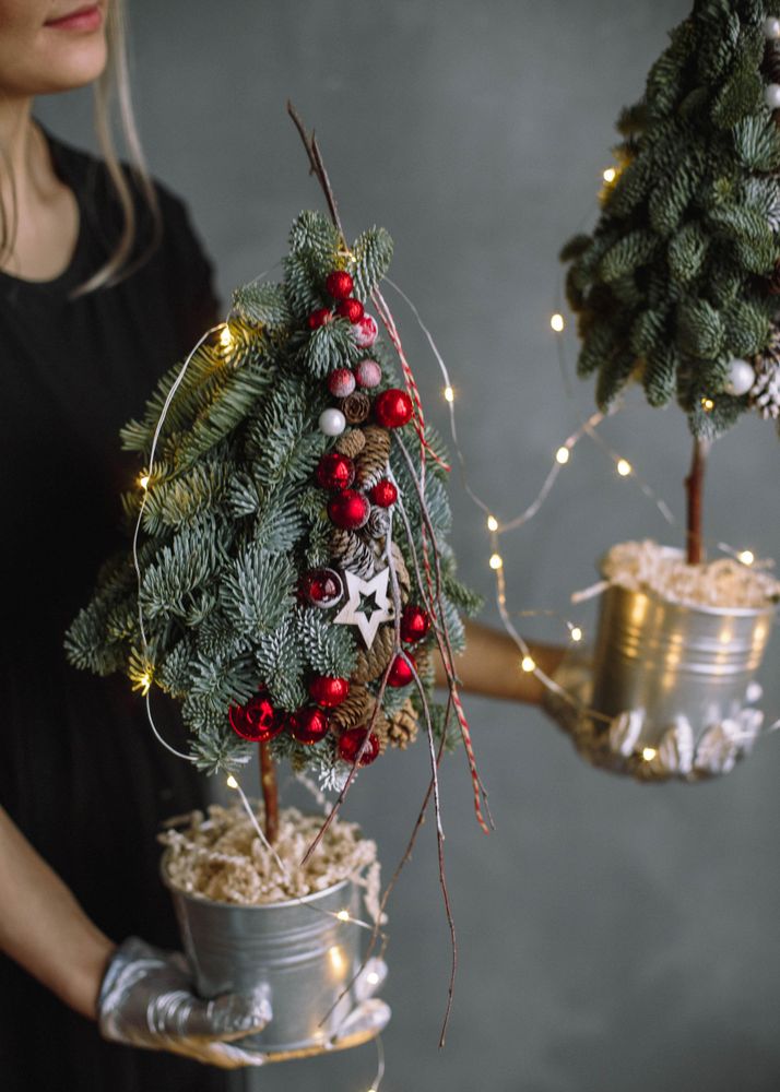 Cropped image of woman in dark shirt holding two mini Christmas trees