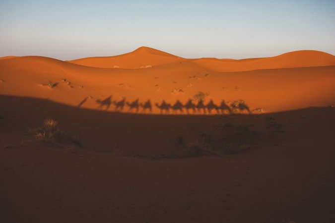 Shadow of camel caravan on sand dune