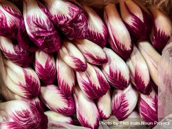Red endives for sale in market 0yXqOO