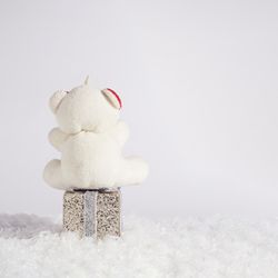 Bear sitting on gift box, square