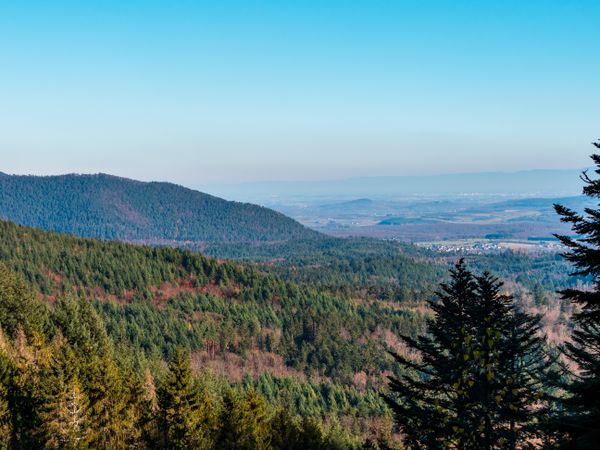Bright autumn colors in the Vosges mountains. Alsace.