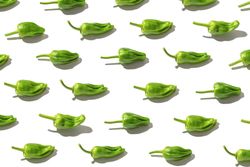 Fresh padron pepper
