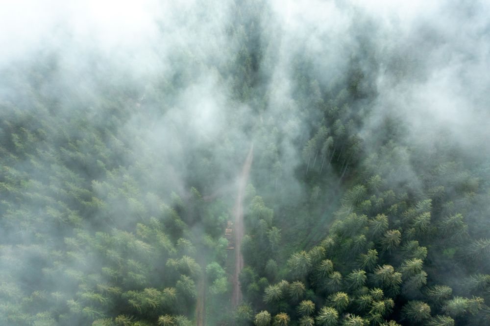 Drone aerial view of the Forest, Germany on a foggy morning