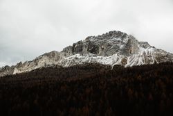 Big mountains near pine forest on cloudy weather