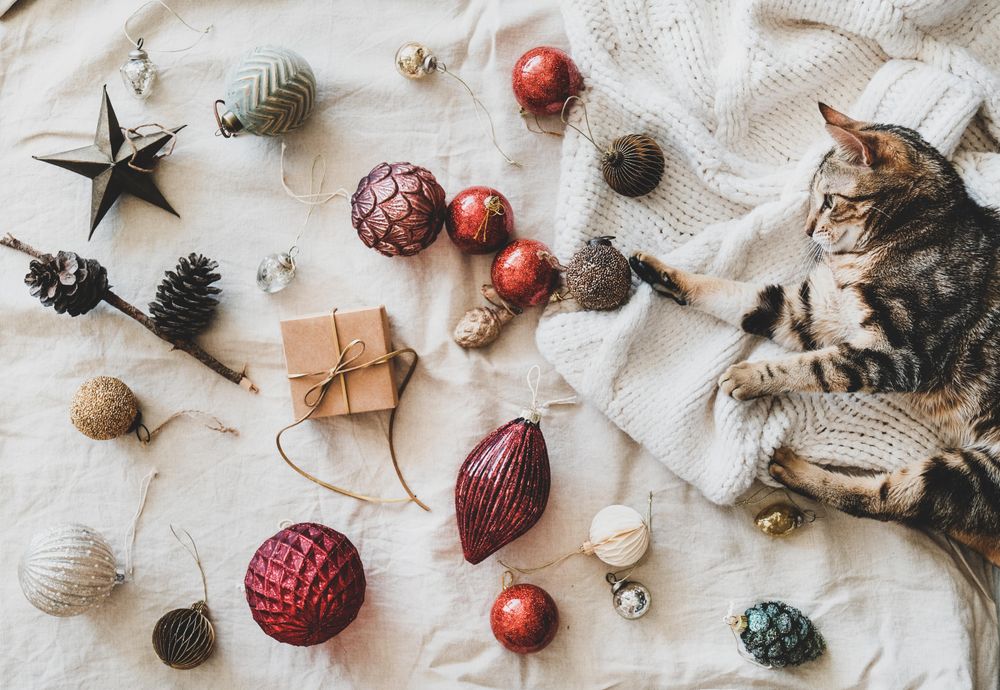 Flat-lay of holiday decoration, with knitted sweater, and cat  looking at bauble, top view