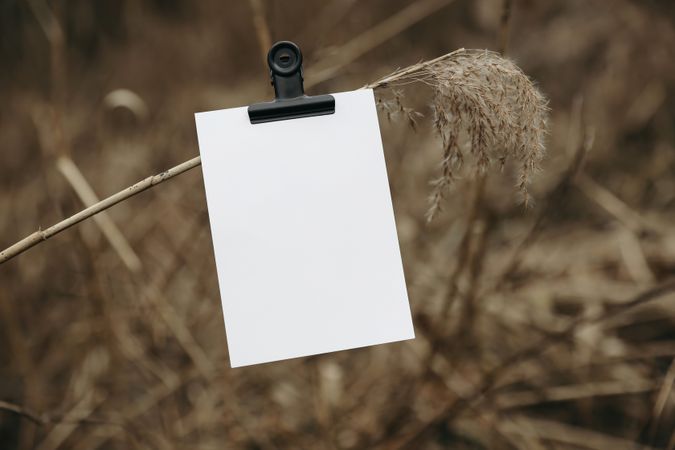 Boho office supply concept with note clipped on reeds