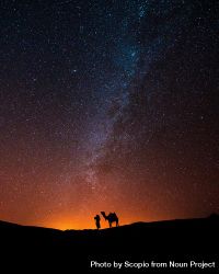Silhouette of person and camel under starry sky bGGLab