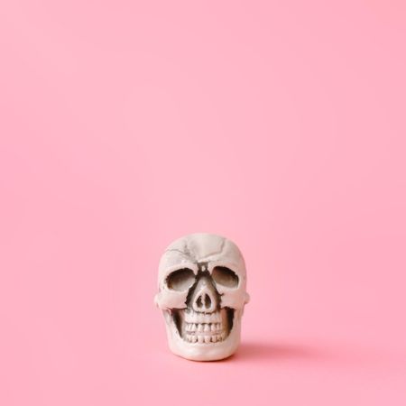 Skull on pastel pink wall