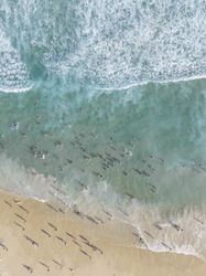 Aerial drone shot of people in the clear ocean water