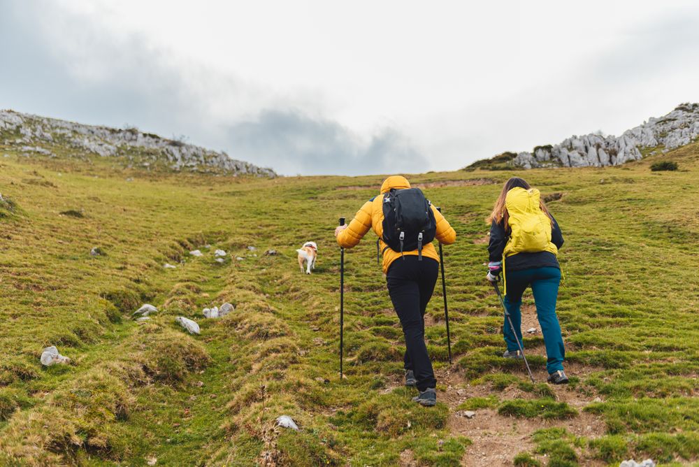 mountaineers hiking in the mountains