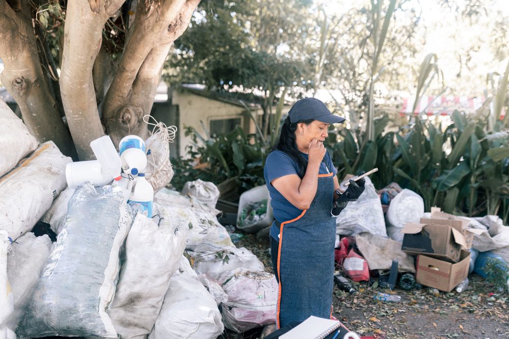 An adult Hispanic woman is checking the phone while working on recycling