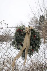 Christmas advent wreath, garland of fir, pine tree branches and red berries hung on fence outside
