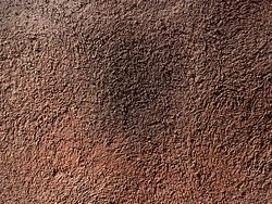 Rugged Cement Wall