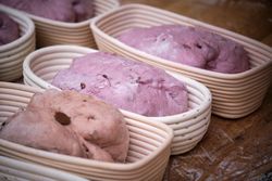 Leavened bread dough in the moulds resting to be baked.