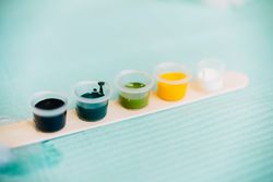 Row of tattoo inks in pots prepared before client