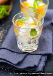Glass of gin and tonic cocktail with lemon and mint 5r9Prp