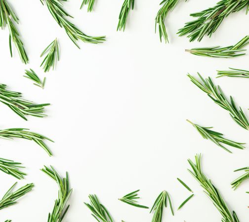 Flat lay composition with rosemary on blank background, space for text