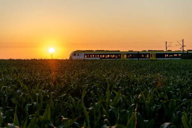 Passengers train at sunrise, traveling through corn fields in Germany