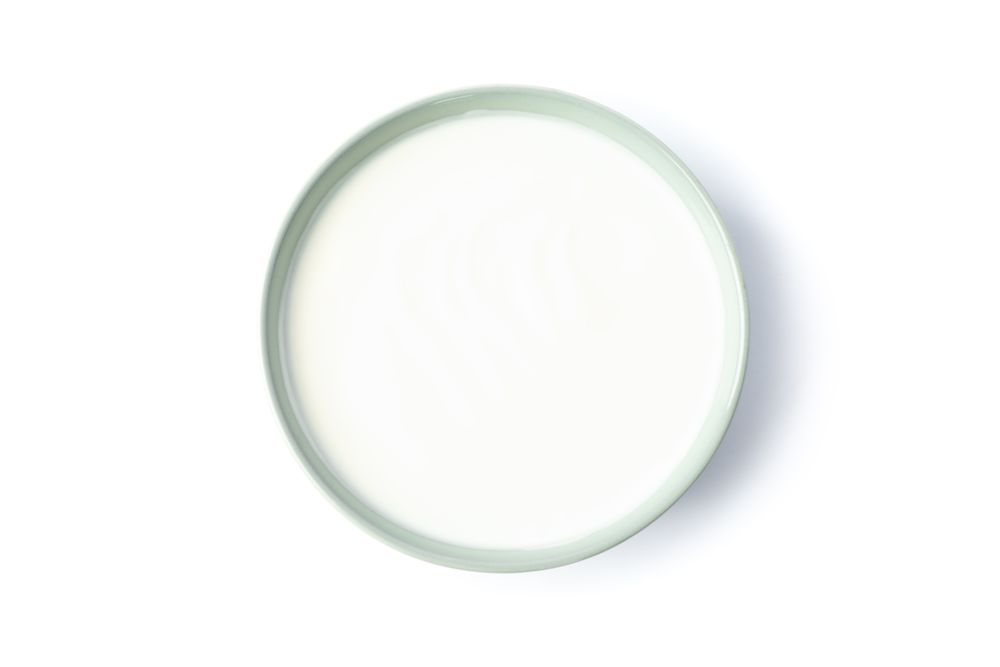 Bowl of sour cream yogurt isolated on light background