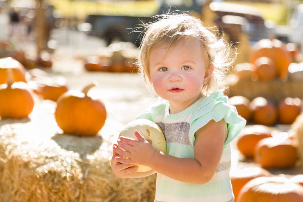 Adorable Baby Girl Holding a Pumpkin at the Pumpkin Patch