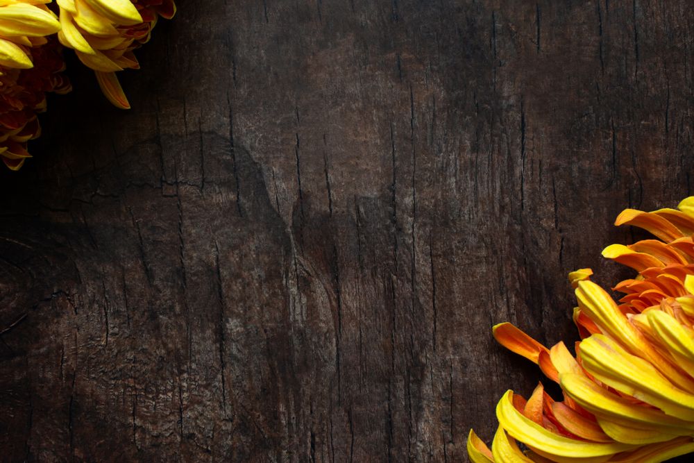 Autumn theme background with florals