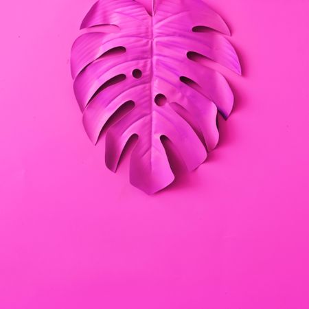 Tropical leaves in vibrant pink holographic color