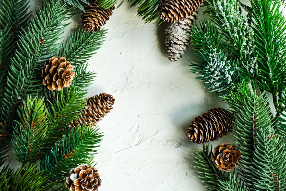 Christmas pine frame with copy space in center