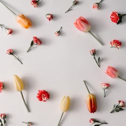Colorful flowers pattern with copy space on light background