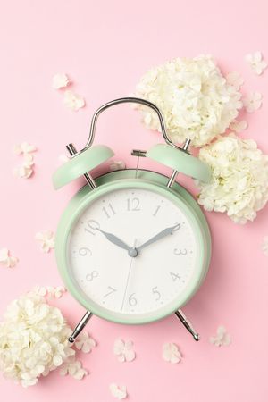 Alarm clock and beautiful hydrangea flowers on pink background
