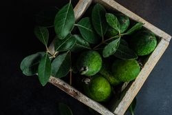 Top view of box of fresh organic fruit feijoa