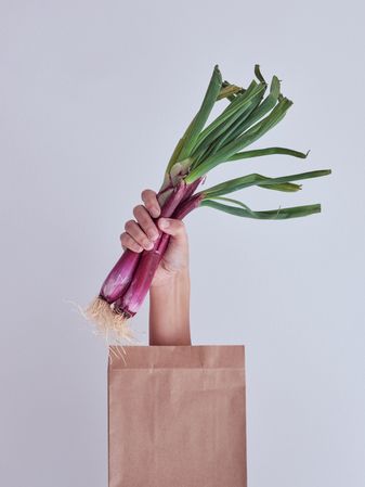 Crop female hand with red leek showing from paper bag