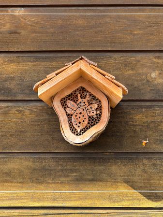 Bee house, bee motif