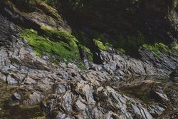 Texture of rocks