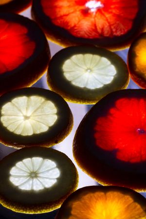 Sliced citrus fruits against light