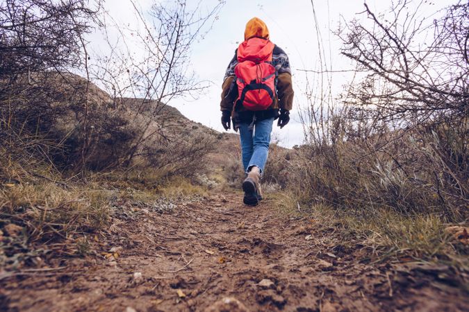 Hiker with backpack walking along pathway in autumn forest