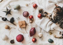 Flat-lay of holiday decoration, with knitted sweater, and cat  playing with bauble, top view
