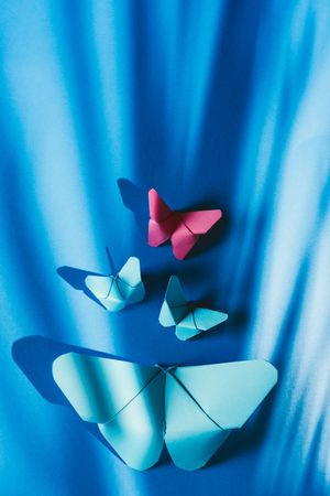 Paper butterflies on silk cloth
