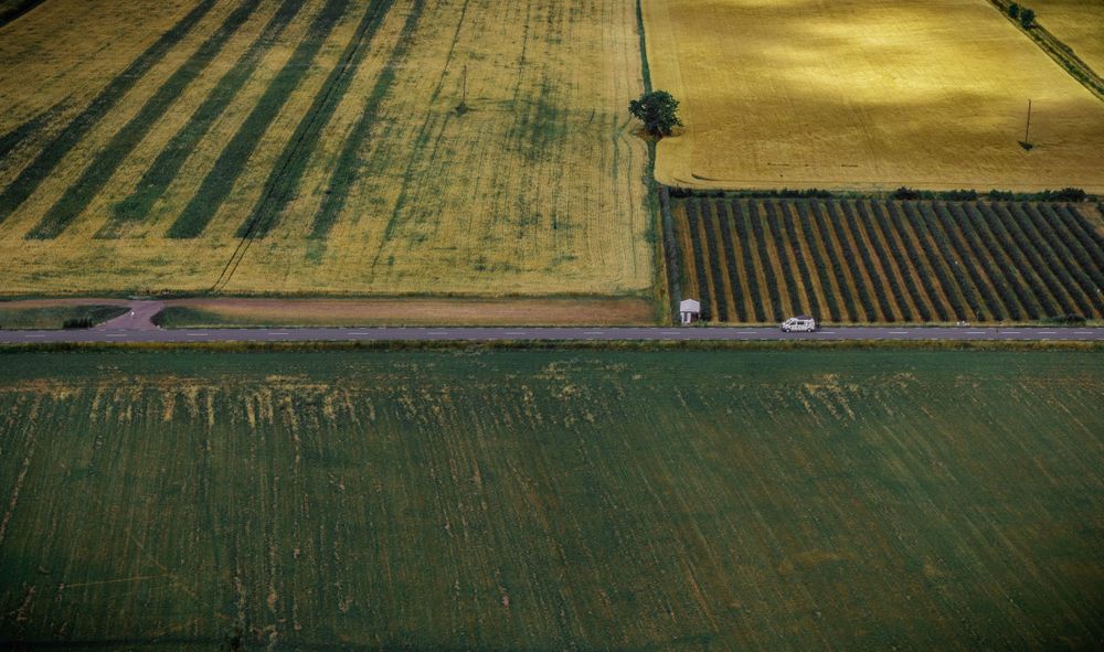 Road in the fields