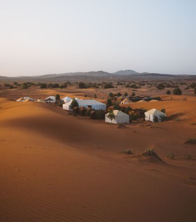 White tents among rare trees in desert