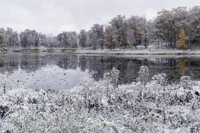 First snow and fall colors around a pond in McGregor, Minnesota