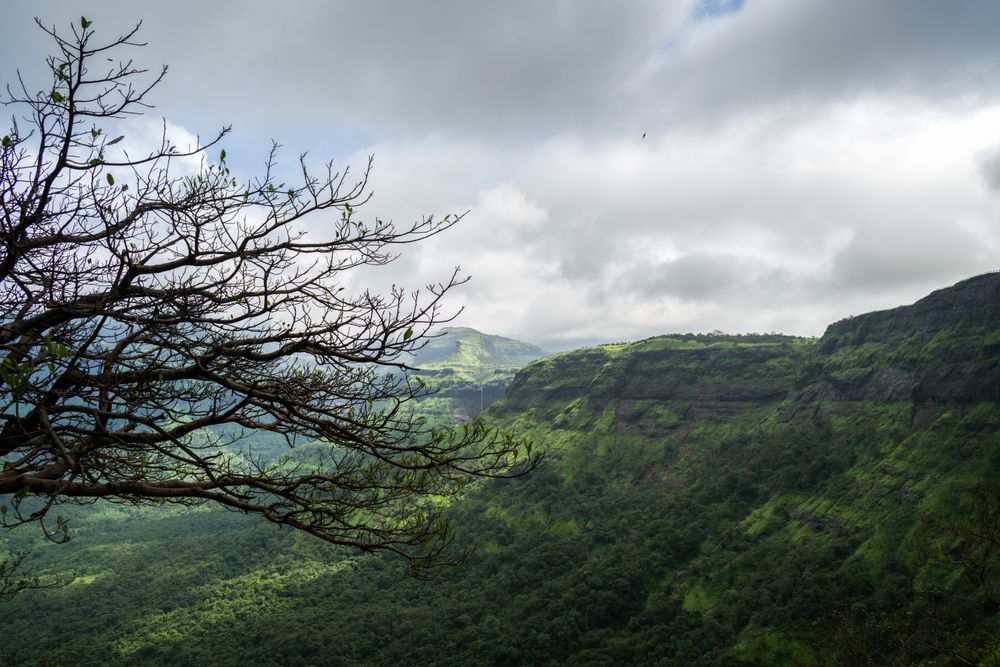 Beautiful trees, hills, and valleys as viewed at Malshej Ghat in Maharashtra, India