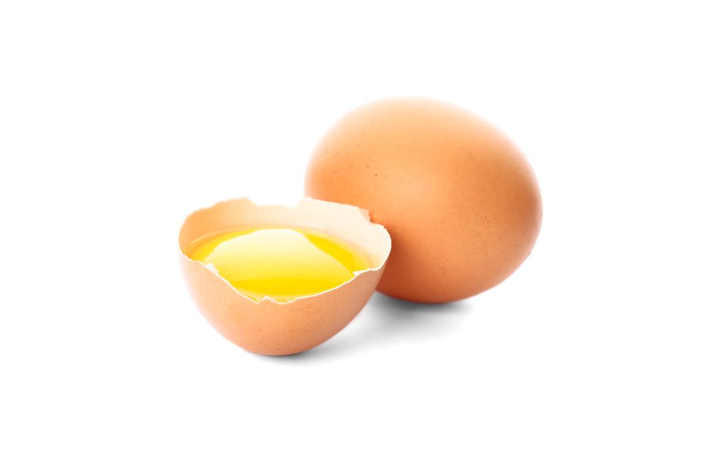 Chicken egg and half yolk isolated on blank background