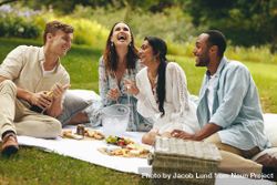 Multi-ethnic people enjoying picnic at the park 43qaV0