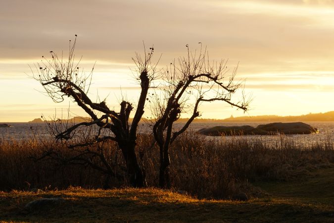 Peaceful seashore lake at sunset